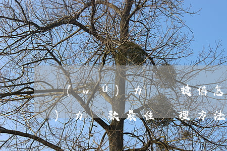 無(wú)力償還捷信怎么辦 捷信無(wú)力還款最佳處理方法