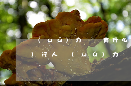 無(wú)力償還有什么后果(被執(zhí)行人無(wú)力償還有什么后果)