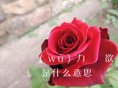 無(wú)力償還欲輕生(無(wú)力償還書是什么意思)