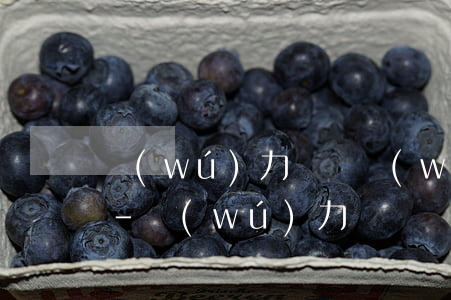 無(wú)力償還網(wǎng)貸的視頻-無(wú)力償還網(wǎng)貸新政策