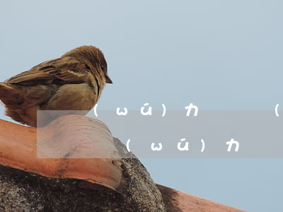 無(wú)力償還網(wǎng)貸該怎么辦(無(wú)力償還網(wǎng)貸該怎么辦)