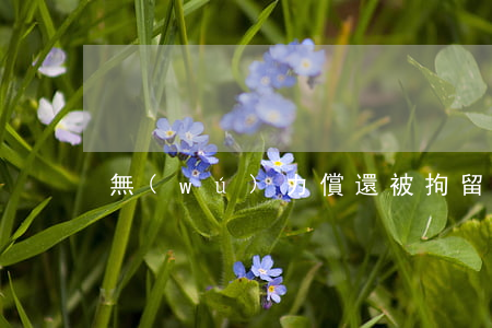 無(wú)力償還被拘留合法嗎