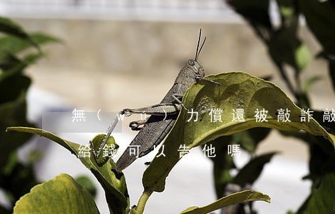 無(wú)力償還被敲詐(敲詐沒(méi)給錢可以告他嗎)