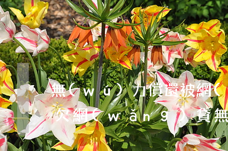 無(wú)力償還被網(wǎng)貸起訴(欠網(wǎng)貸無(wú)力償還被起訴后有什么后果)