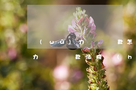 無(wú)力償還貨款怎么辦理(無(wú)力償還貸款法院會(huì)怎么判)