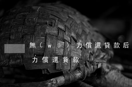 無(wú)力償還貸款后果怎樣(無(wú)力償還貨款)