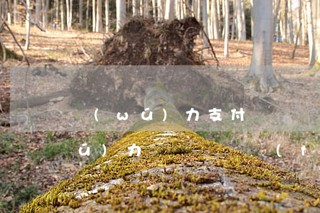 無(wú)力支付訴訟費(fèi)（無(wú)力償還訴訟費(fèi)）