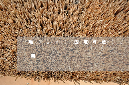 無(wú)固定資產(chǎn)信用卡逾期