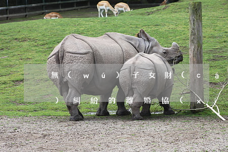 無(wú)子女財(cái)產(chǎn)糾紛的離婚協(xié)議書范本(無(wú)子女無(wú)財(cái)產(chǎn)離婚起訴書范文怎么寫)