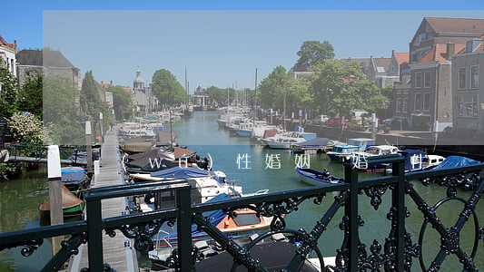 無(wú)性婚姻離婚條件