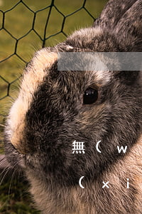 無(wú)房產(chǎn)證房屋繼承協(xié)議怎么寫(房產(chǎn)放棄房產(chǎn)繼承權(quán)協(xié)議書怎么寫才有效)