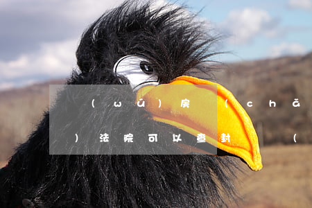 無(wú)房產(chǎn)證車庫(kù)法院可以查封嗎(沒(méi)有產(chǎn)權(quán)的車位可以查封么)