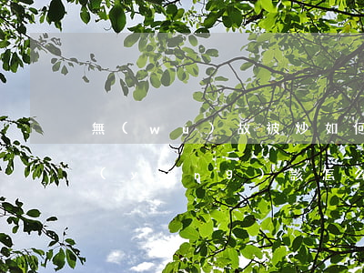 無(wú)故被炒如何賠償(如果公司炒掉應(yīng)該怎么賠)