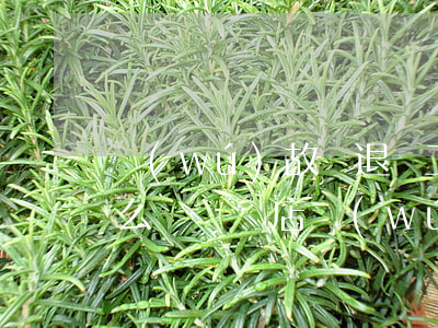 無(wú)故辭退員工應(yīng)該怎么賠償(飯店無(wú)故辭退員工應(yīng)該怎么賠償)