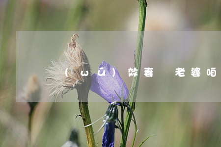 無(wú)效妻約老婆咱不離婚