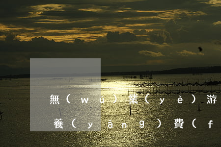 無(wú)業(yè)游民離婚要給多少撫養(yǎng)費(fèi)(離婚后無(wú)能力支付撫養(yǎng)費(fèi))