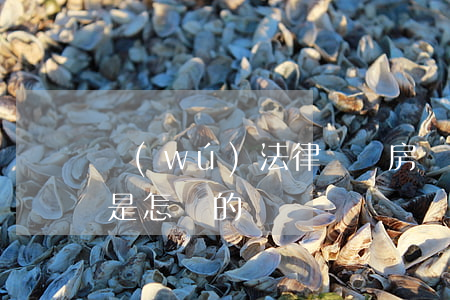 無(wú)法律糾紛房產(chǎn)遺囑是怎樣的