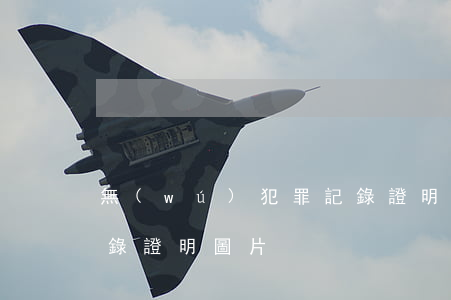 無(wú)犯罪記錄證明(無(wú)犯罪記錄證明圖片)