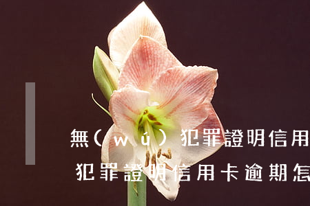 無(wú)犯罪證明信用卡逾期(無(wú)犯罪證明信用卡逾期怎么開(kāi))