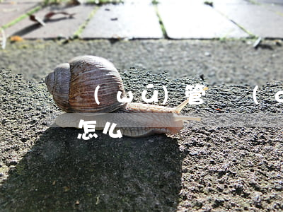 無(wú)管轄權(quán)法院立案后怎么辦