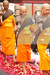 無(wú)罪辯護(hù)名律師(《無(wú)罪辯護(hù)》)