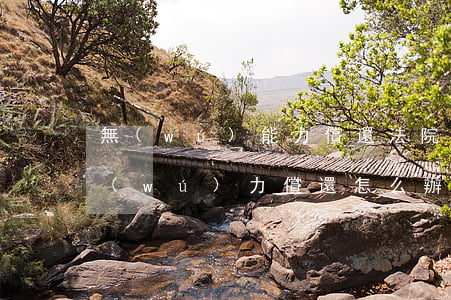 無(wú)能力償還法院怎么判(法院判了無(wú)力償還怎么辦)