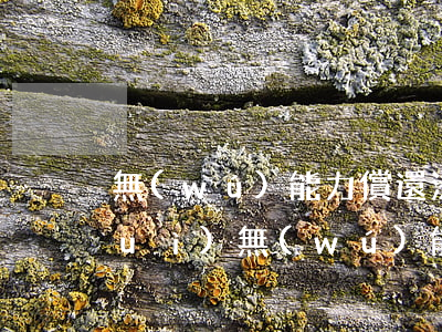 無(wú)能力償還法院怎么判(法院對(duì)無(wú)能力償還借款怎么判)
