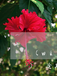 無(wú)視逾期秒下的貸款口子(無(wú)視逾期秒下的貸款口子)