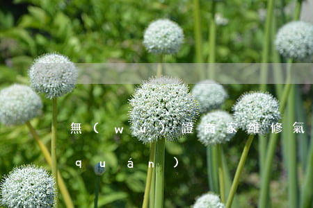 無(wú)證商家維修氣罐出事怎么維權(quán)