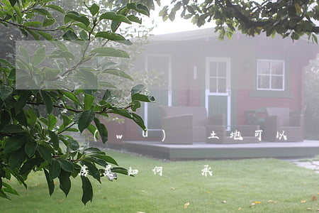 無(wú)證土地可以繼承嗎(無(wú)證房屋如何繼承)
