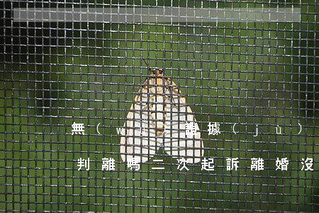 無(wú)證據(jù)第二次起訴離婚能判離嗎(二次起訴離婚沒(méi)判離怎么辦)
