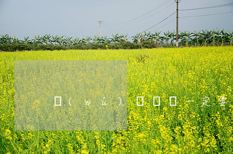 無(wú)證駕駛一定要拘留嗎