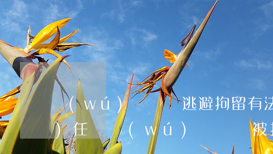無(wú)證駕駛逃避拘留有法律責(zé)任嗎(無(wú)證駕駛被拘留屬于什么處罰)