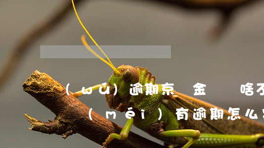 無(wú)逾期京東金條為啥不借了(京東金條沒(méi)有逾期怎么突然不能借錢了)