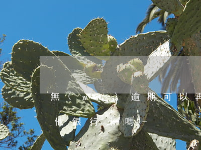 無(wú)逾期可以再申請(qǐng)其他銀行卡嗎-