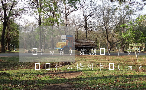 無(wú)逾期負(fù)債高信用卡能提額(為什么信用卡沒(méi)逾期額度會(huì)下降)