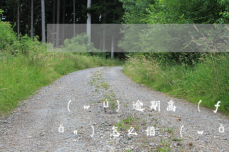 無(wú)逾期高風(fēng)險(xiǎn)怎么借網(wǎng)貸(逾期也可以借錢的網(wǎng)貸)