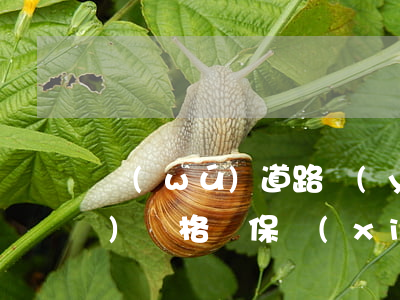 無(wú)道路運(yùn)輸從業(yè)資格證保險(xiǎn)拒賠