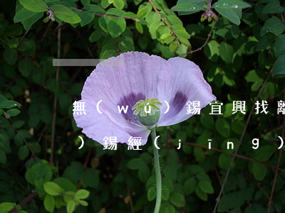 無(wú)錫宜興找離婚官司律師(無(wú)錫經(jīng)濟(jì)糾紛律師咨詢)