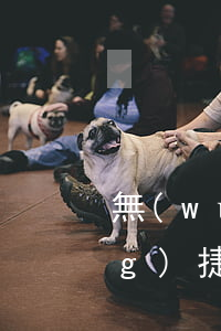無(wú)錫農(nóng)行網(wǎng)捷貸協(xié)商還款成功案例-農(nóng)行網(wǎng)捷貸有協(xié)商成功的嗎