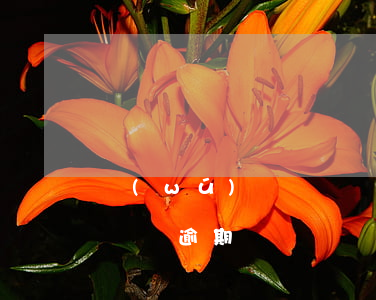 無(wú)錫錫錫貸逾期-無(wú)錫錫錫貸逾期
