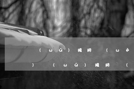 無(wú)限防衛(wèi)權(quán)(無(wú)限防衛(wèi)權(quán)的適用條件)