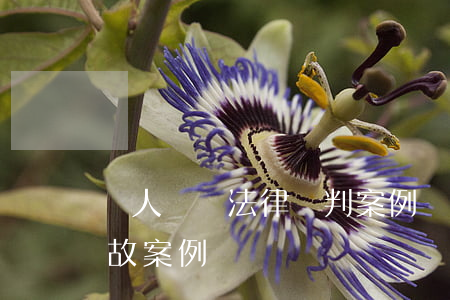 無人駕駛法律審判案例(無人駕駛汽車交通事故案例)