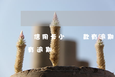 無信用卡小額貸款有逾期(無信用卡小額貸款有逾期)