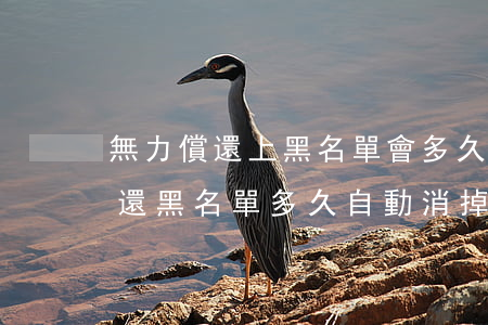 無力償還上黑名單會多久才會取消-無力償還黑名單多久自動消掉