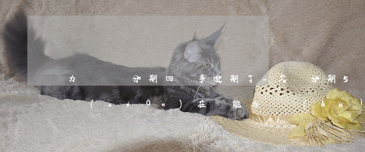 無力償還來分期四萬多逾期了-欠來分期5萬現(xiàn)在沒能力還會(huì)被起訴到法院嗎