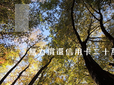 無力償還信用卡二十萬