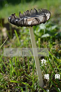 無力償還信用卡怎么協(xié)商(無力償還信用卡怎么協(xié)商)