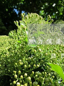無力償還信用卡應(yīng)向哪個(gè)部門門救助-無力償還信用卡應(yīng)向哪個(gè)部門門救助呢