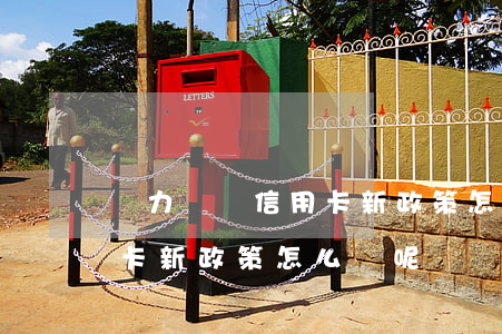 無力償還信用卡新政策怎么辦(無力償還信用卡新政策怎么辦呢)